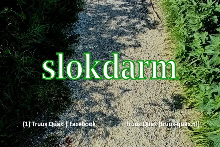 Slokdarm