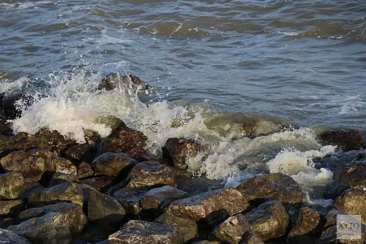 Twee miljoen palingen uitgezet in Markermeer