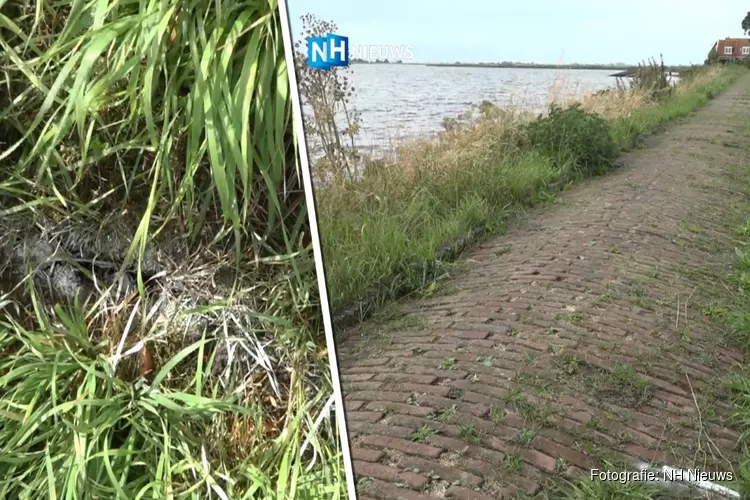 Inspecteurs Rijkswaterstaat ontdekken scheuren in dijken Marken