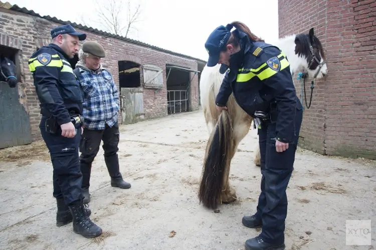 Verwaarloosde dieren aangetroffen