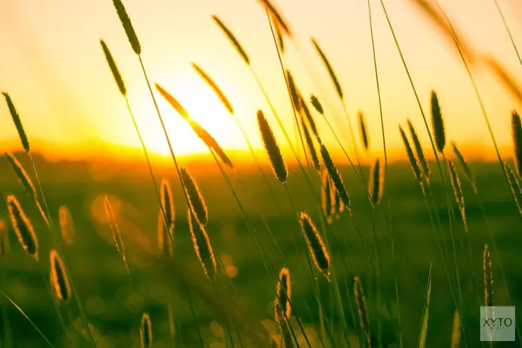 Zomer op maandag van start, maar temperatuur daalt