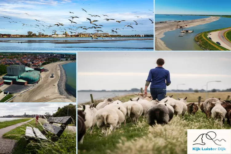 Kijk Luister Dijk Bijzondere verhalen van een eigenzinnige dijk